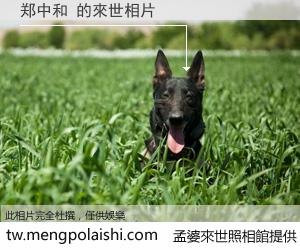 郑中和 來世的未來相片