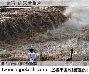 金宵 來世的未來相片