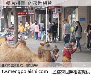 鐵片拼圖 來世的未來相片