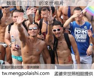 魏國𪊴 來世的未來相片