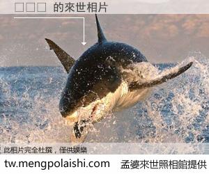 성교육 來世的未來相片