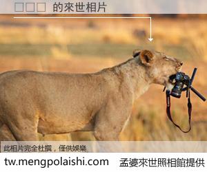 시트ㅏ 來世的未來相片