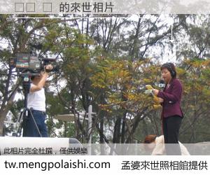 이사 뜻 來世的未來相片