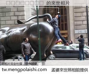 🇩🇴 來世的未來相片