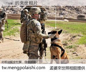 -vw 來世的未來相片