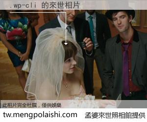 .wp-cli 來世的未來相片