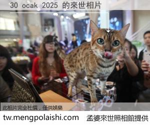 30 ocak 2025 來世的未來相片