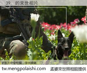 39. 來世的未來相片