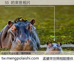 55 來世的未來相片