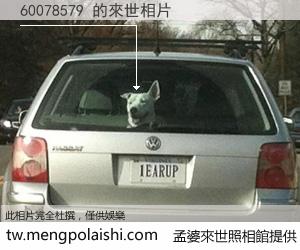 60078579 來世的未來相片