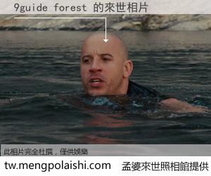 9guide forest 來世的未來相片