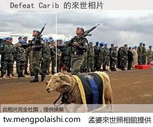 Defeat Carib 來世的未來相片