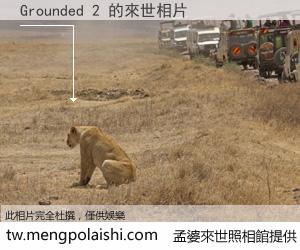 Grounded 2 來世的未來相片