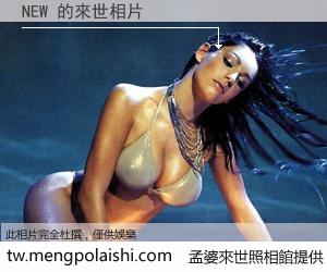 NEW 來世的未來相片