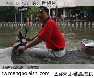 NHDTB-427 來世的未來相片