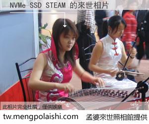NVMe SSD STEAM 來世的未來相片