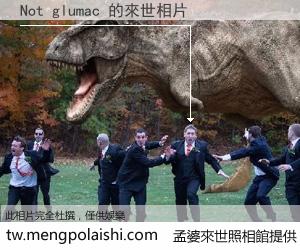 Not glumac 來世的未來相片