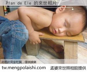 Plan de Ele 來世的未來相片