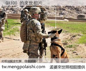 QX100 來世的未來相片