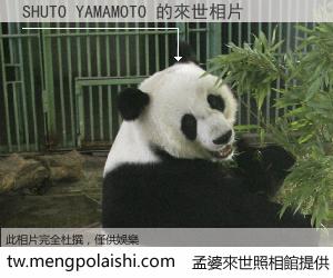 SHUTO YAMAMOTO 來世的未來相片