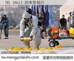 TEL CALLI 來世的未來相片