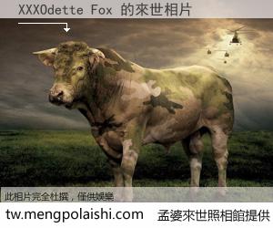 XXXOdette Fox 來世的未來相片