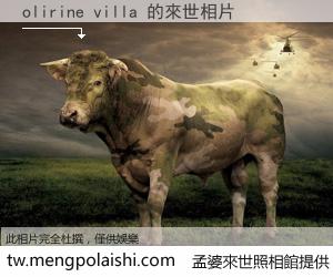 olirine villa 來世的未來相片