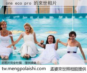 one eco pro 來世的未來相片