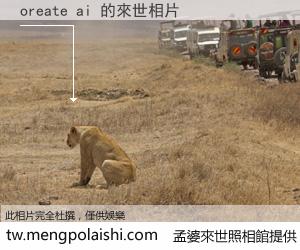 oreate ai 來世的未來相片