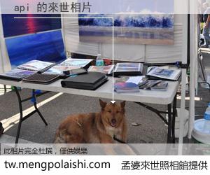 api 來世的未來相片