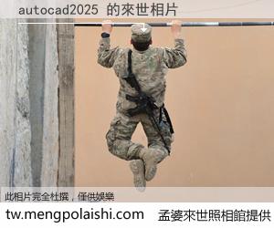 autocad2025 來世的未來相片