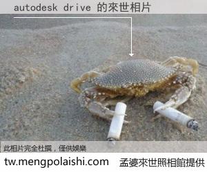 autodesk drive 來世的未來相片