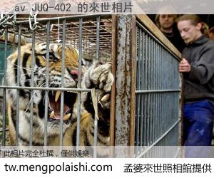 av JUQ-402 來世的未來相片