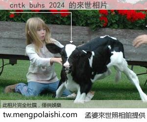 cntk buhs 2024 來世的未來相片