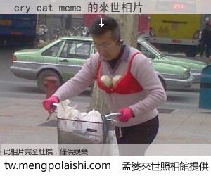 cry cat meme 來世的未來相片