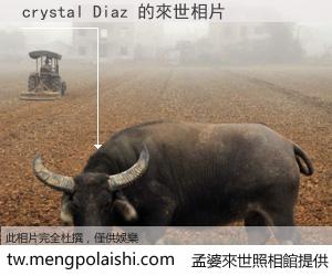 crystal Diaz 來世的未來相片