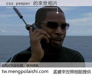 css peeper 來世的未來相片