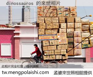 dinossauros 來世的未來相片