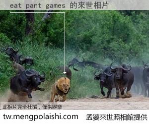 eat pant games 來世的未來相片