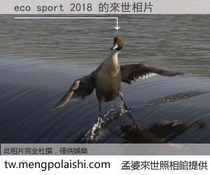 eco sport 2018 來世的未來相片