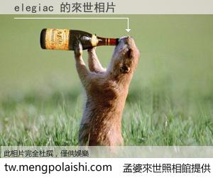 elegiac 來世的未來相片