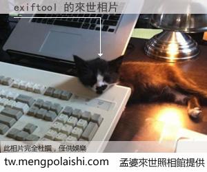 exiftool 來世的未來相片