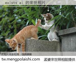 exists ai 來世的未來相片