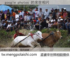 google photos 來世的未來相片