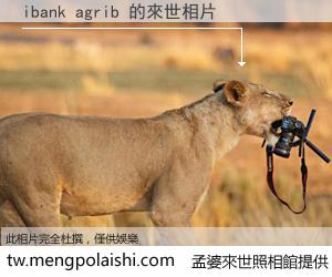 ibank agrib 來世的未來相片
