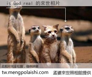 is God real 來世的未來相片