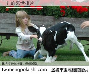 j 來世的未來相片