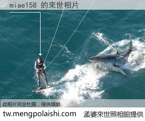 miae158 來世的未來相片