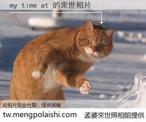 my time at 來世的未來相片