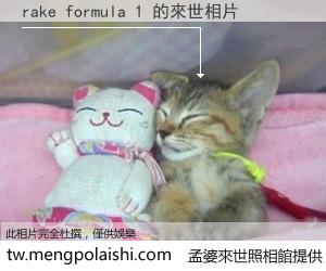 rake formula 1 來世的未來相片